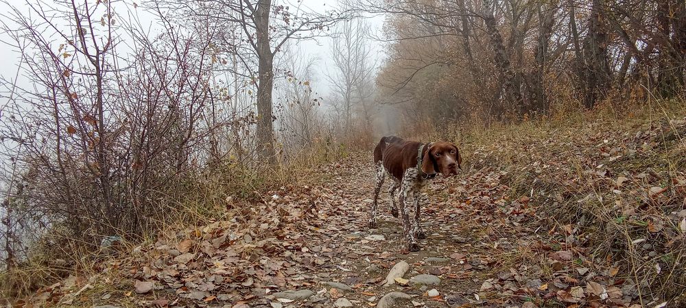 Photograph by Савчук Сергей