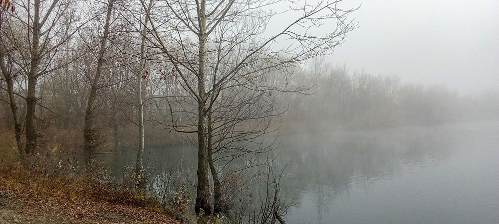 Photograph by Савчук Сергей