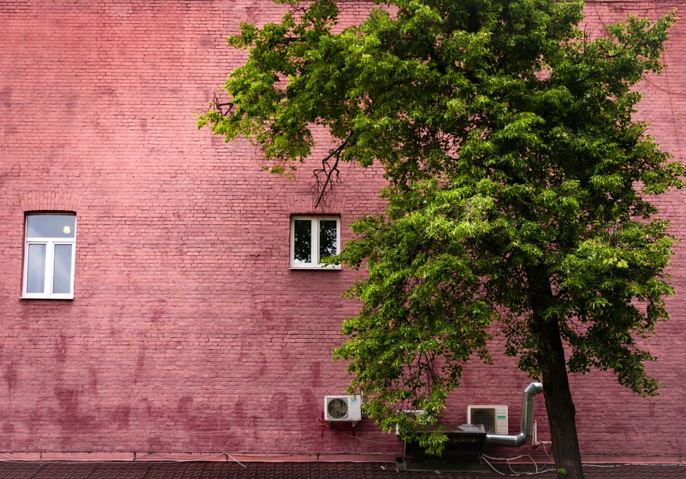 Photograph by Елена Барышева