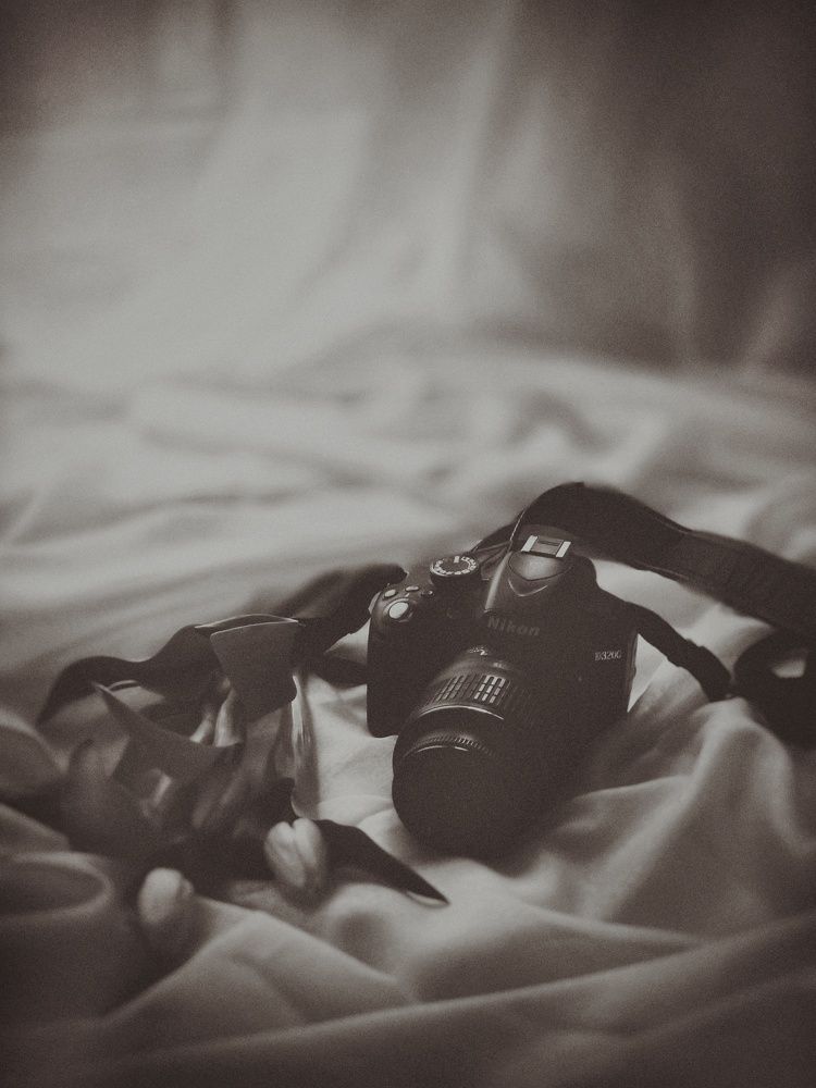 Photograph by Ksenija Bartoško