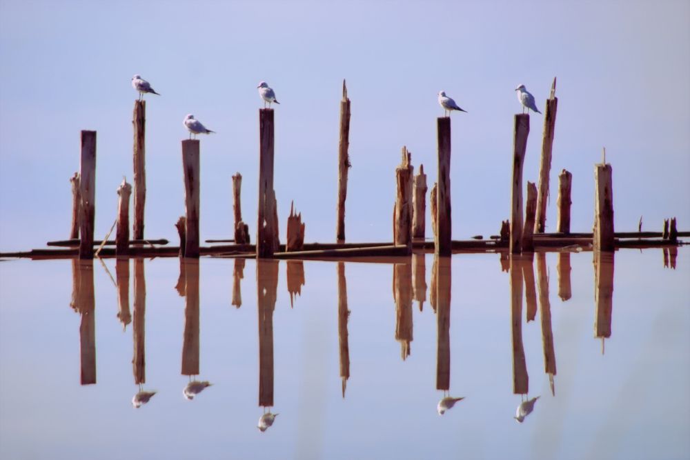 Photograph by Marina Mossiy