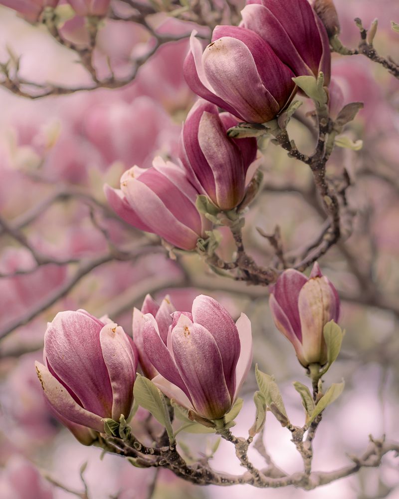 Photograph by Оксана Дорн