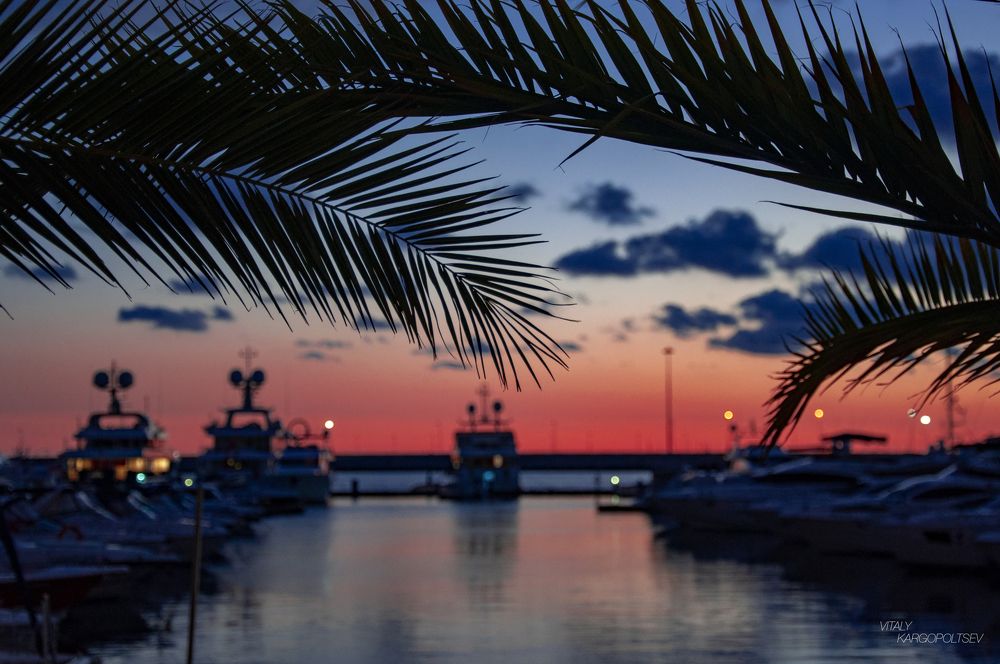 Photograph by Виталий Каргопольцев