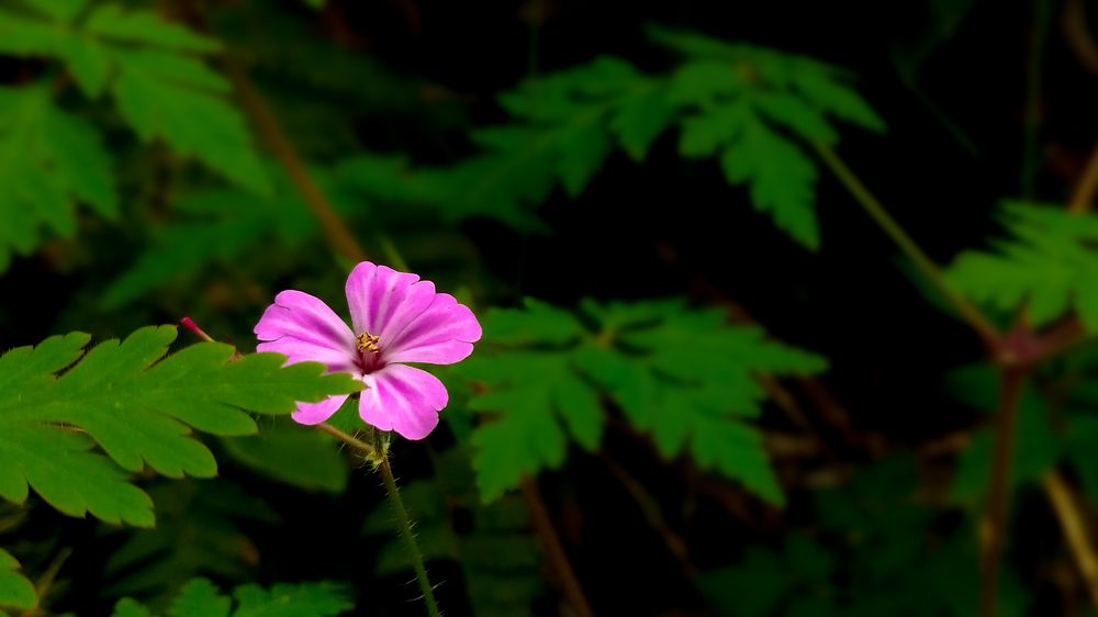 Photograph by Виталий Каргопольцев