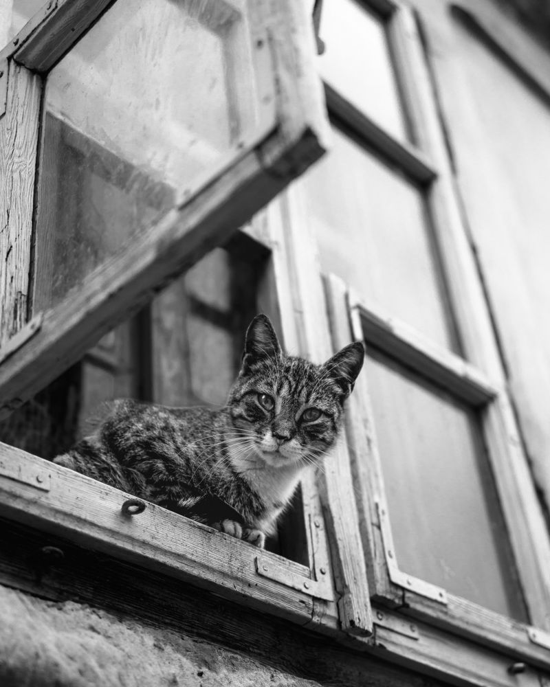 Photograph by Левичев Валетнин