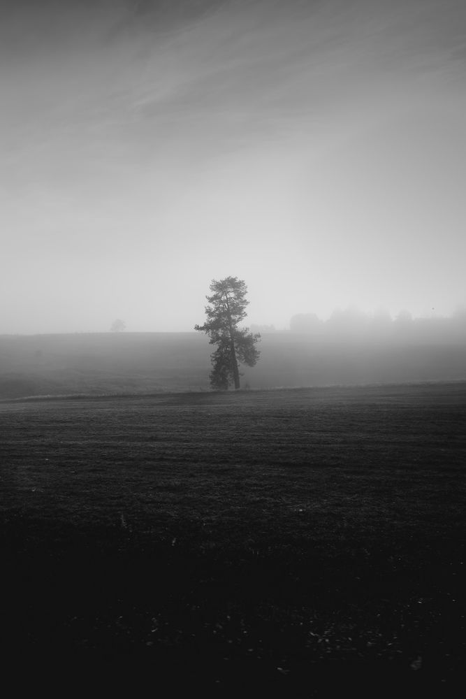 Photograph by Левичев Валетнин