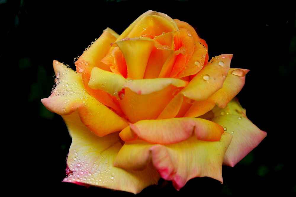 Photograph by Сергей Смоленцев