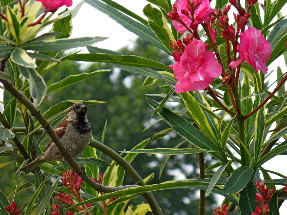 Photograph by Сергей Смоленцев