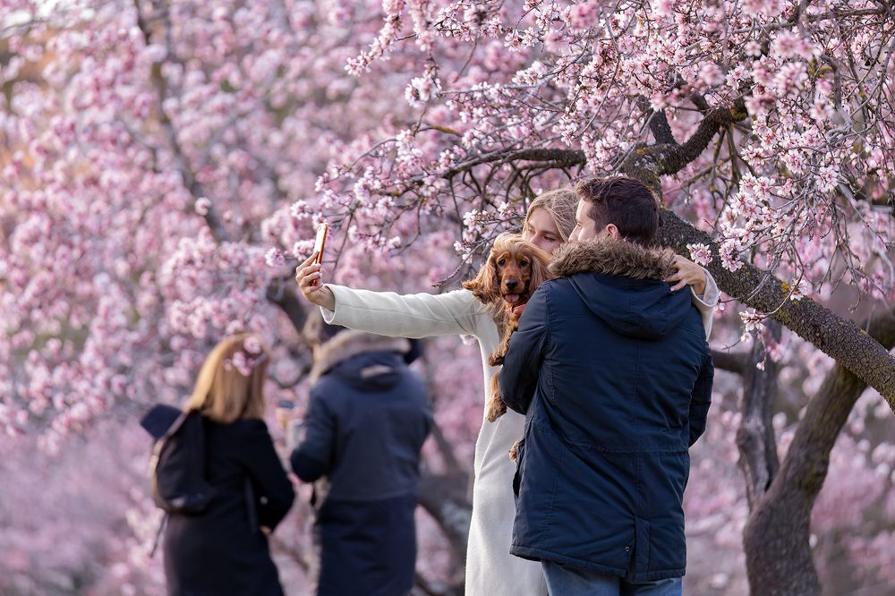 Photograph by Josue Friedrich