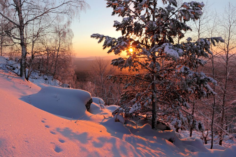Фотография автора Кухта Мария