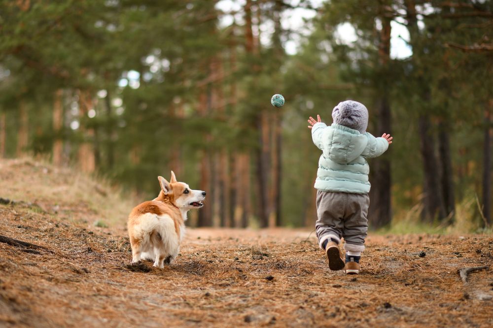 Фотография автора Алена Ковалёва