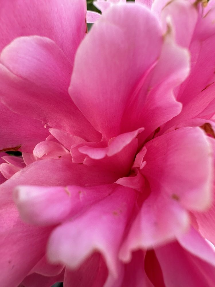 Photograph by Екатерина Балакина