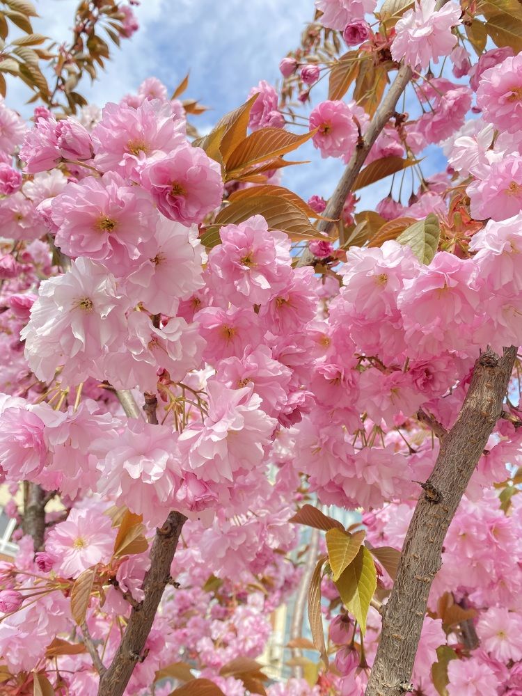 Photograph by Екатерина Балакина