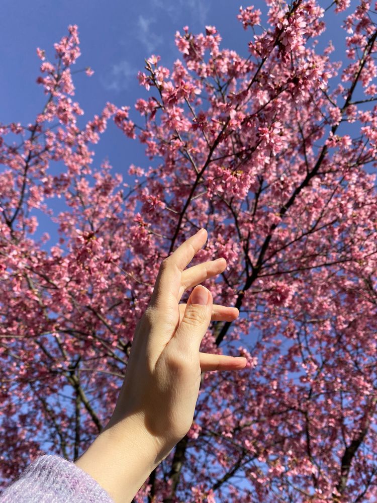 Photograph by Екатерина Балакина