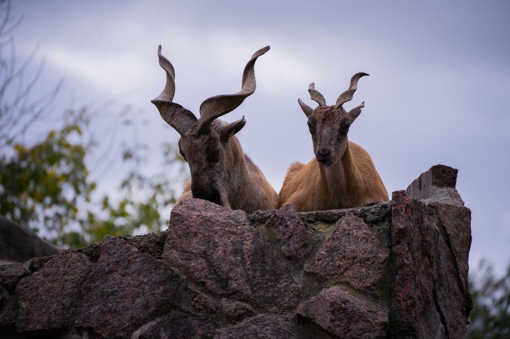 Photograph by Герман Крупенин