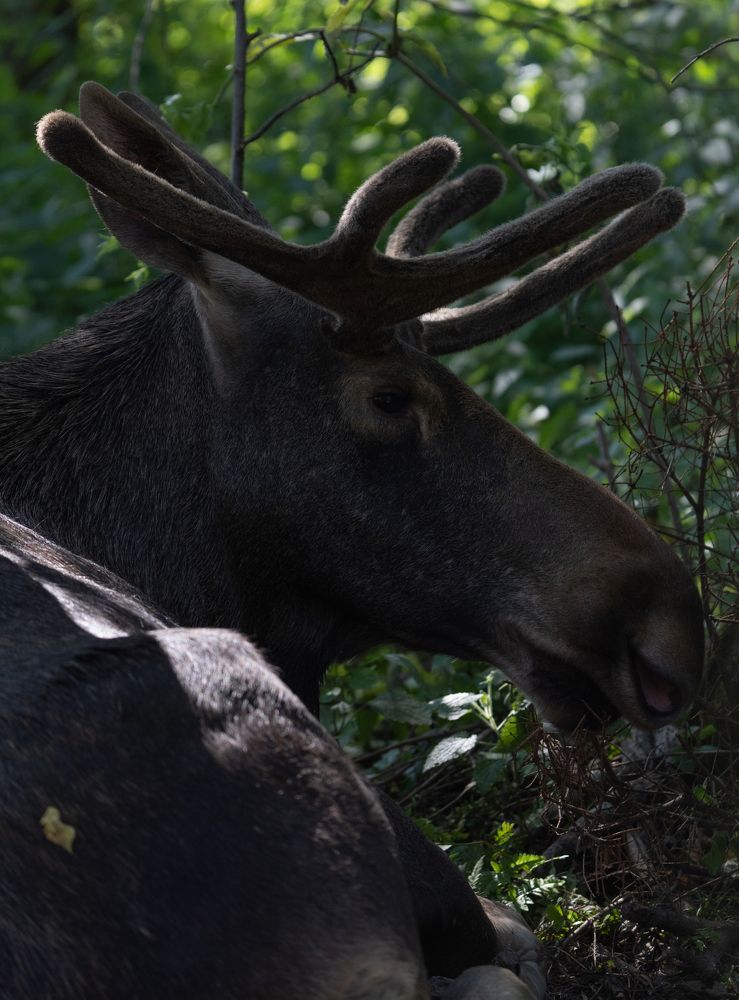 Photograph by Герман Крупенин