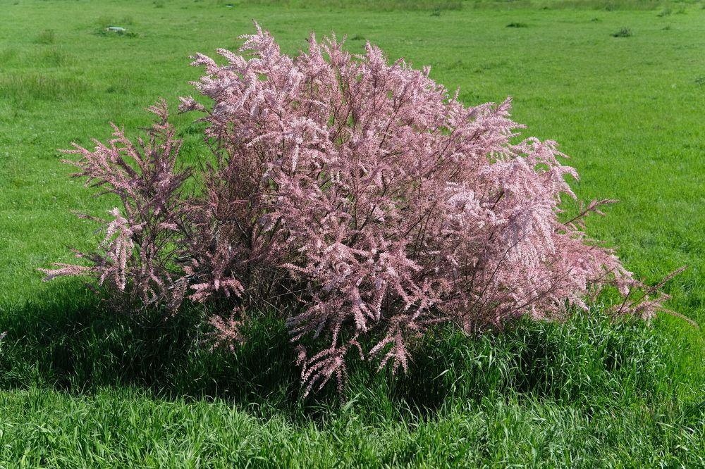 Photograph by Дмитрий