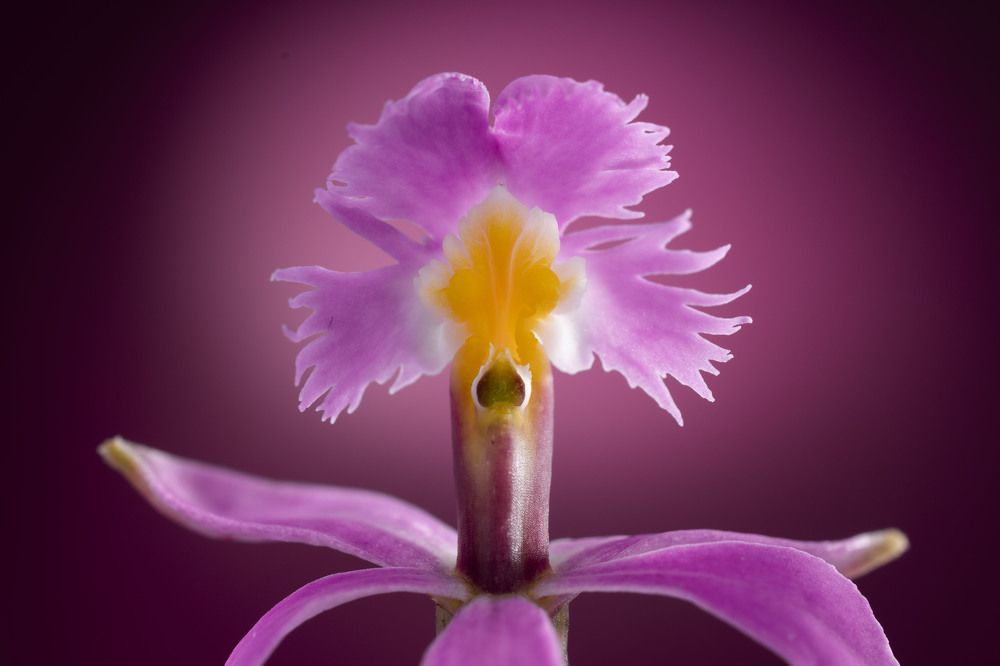 Photograph by Claudia Ruiz