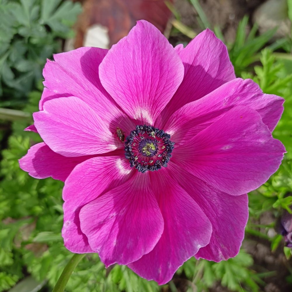 Photograph by Анастасия Горбачева