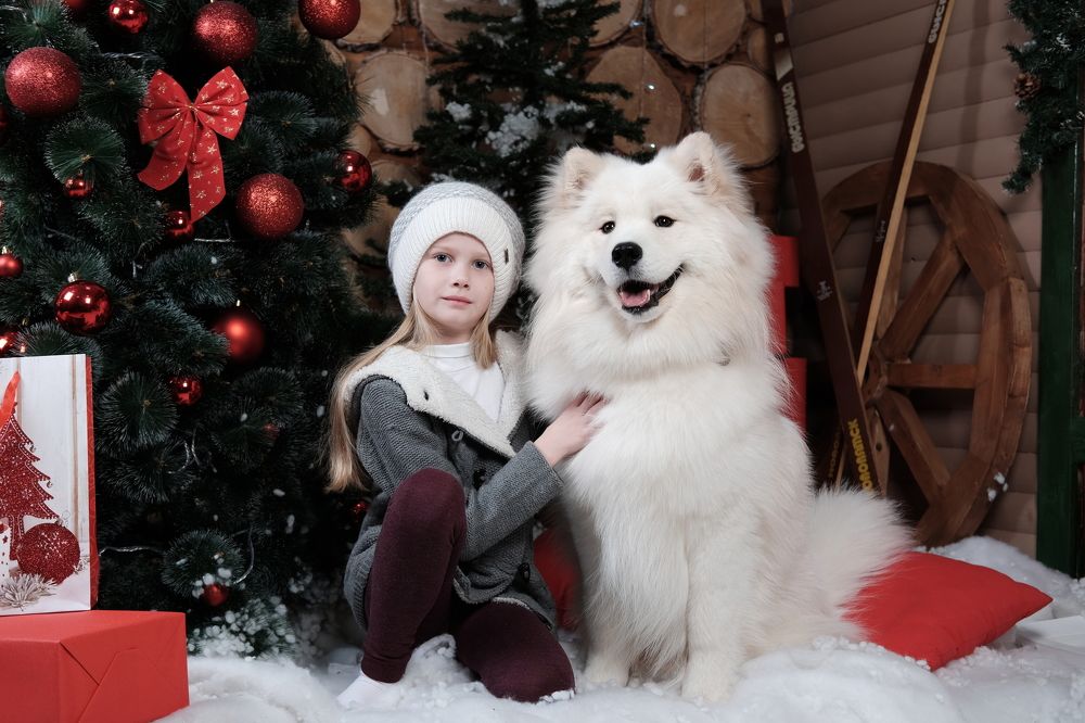 Photograph by Дмитрий