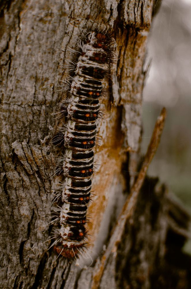 Photograph by Анна Демина