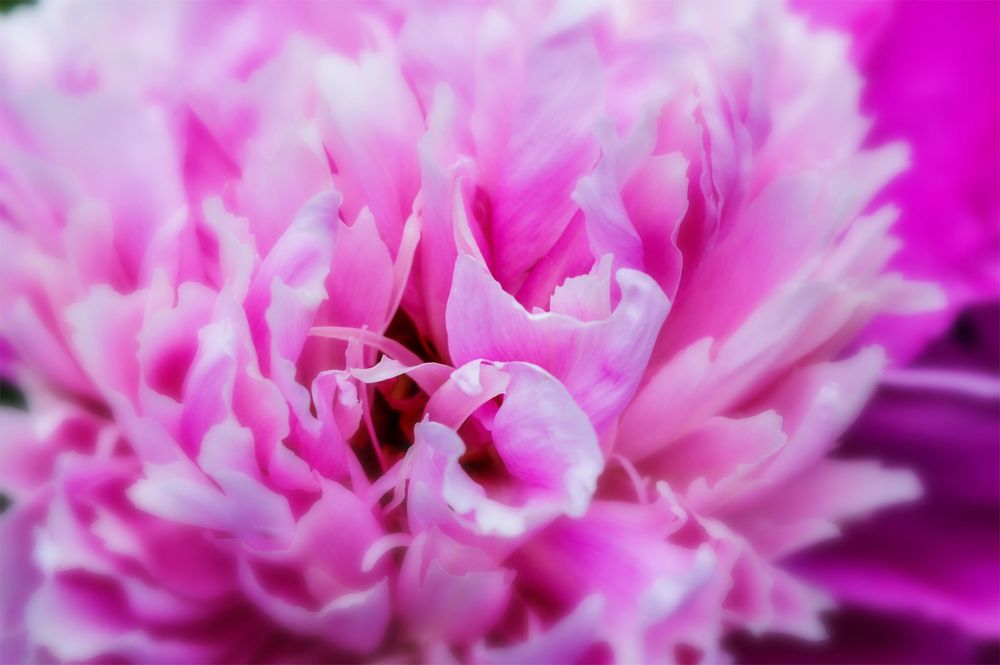 Photograph by Ирина Александрович