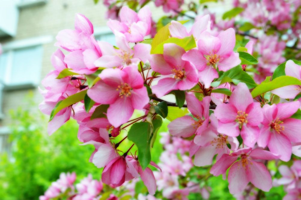 Photograph by Ирина Александрович