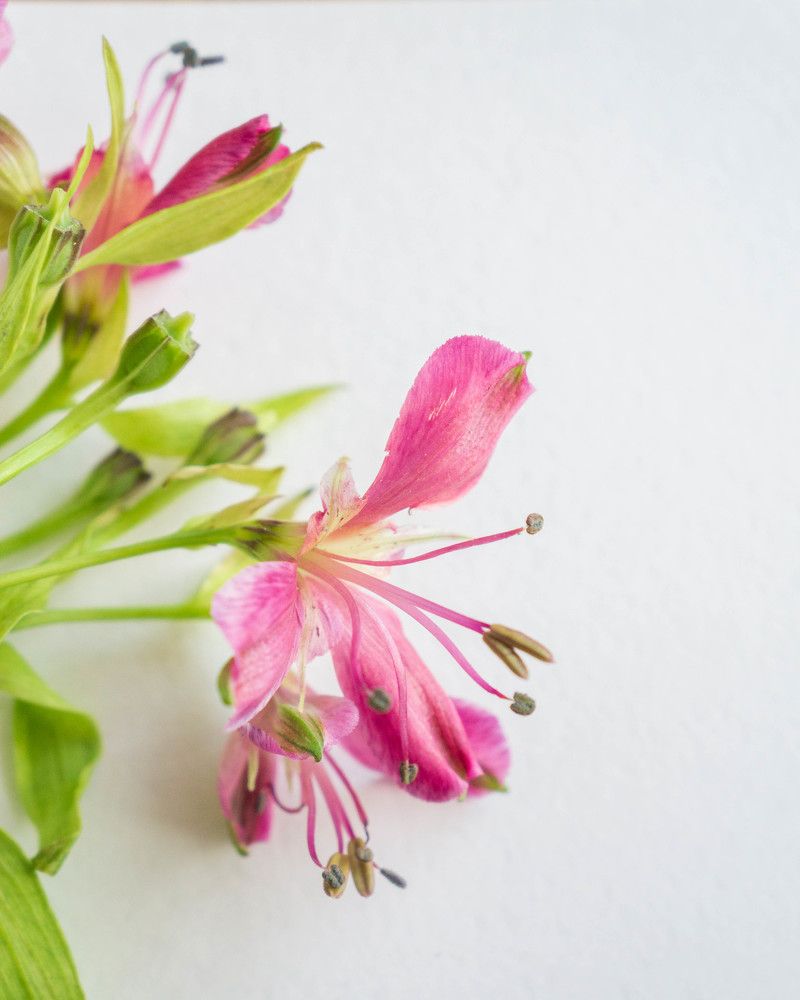 Photograph by Светлана Нестерова