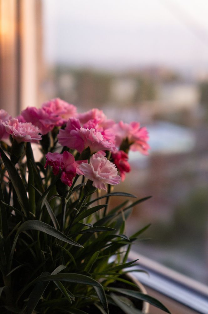 Photograph by Светлана Нестерова