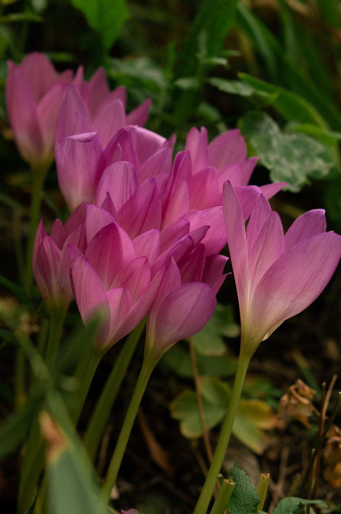 Photograph by Светлана Нестерова