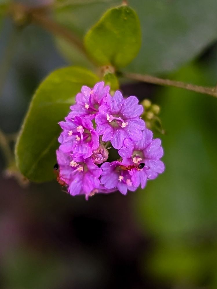 Photograph by SARAVANA MANICKAM