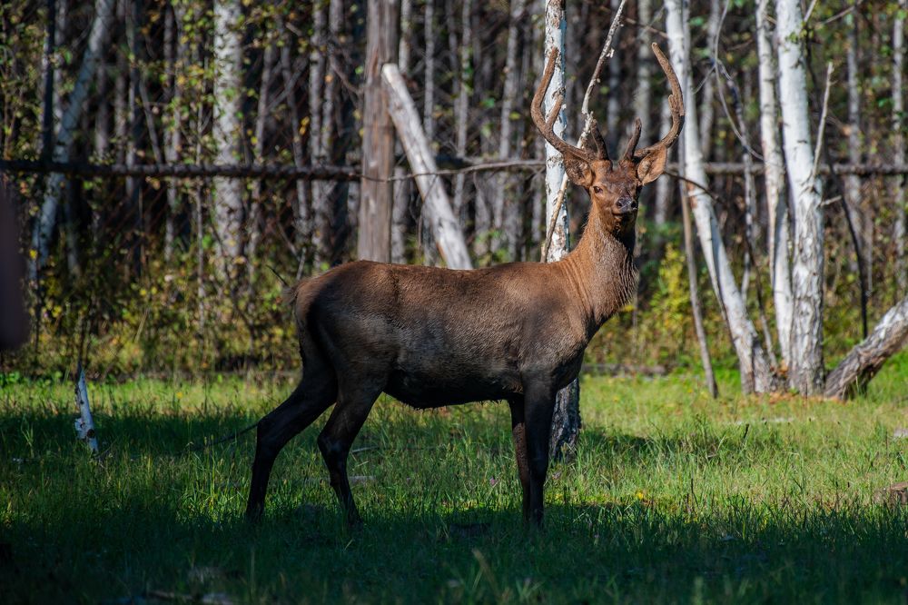 Photograph by Dmitriy Kachin
