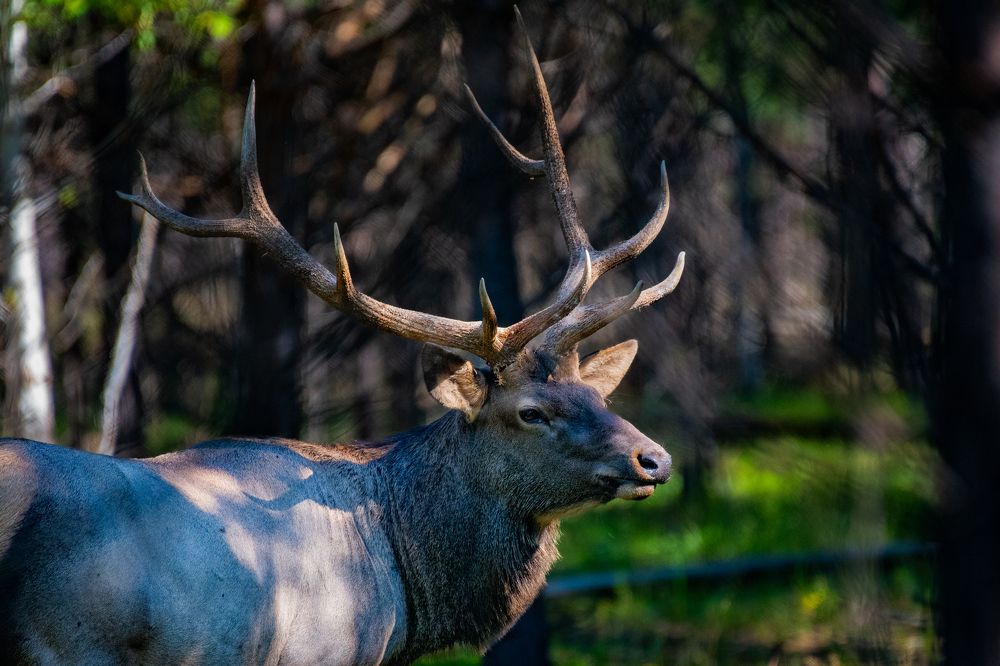 Photograph by Dmitriy Kachin