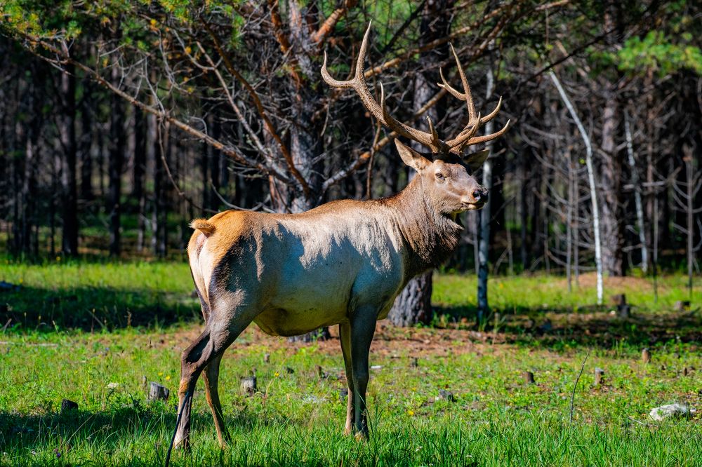 Photograph by Dmitriy Kachin