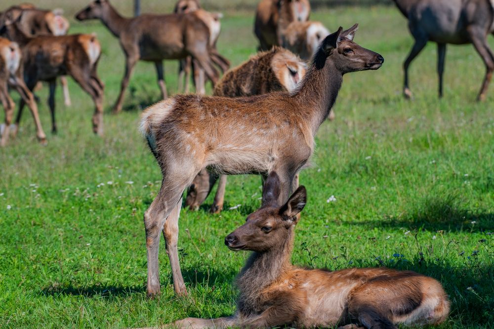 Photograph by Dmitriy Kachin