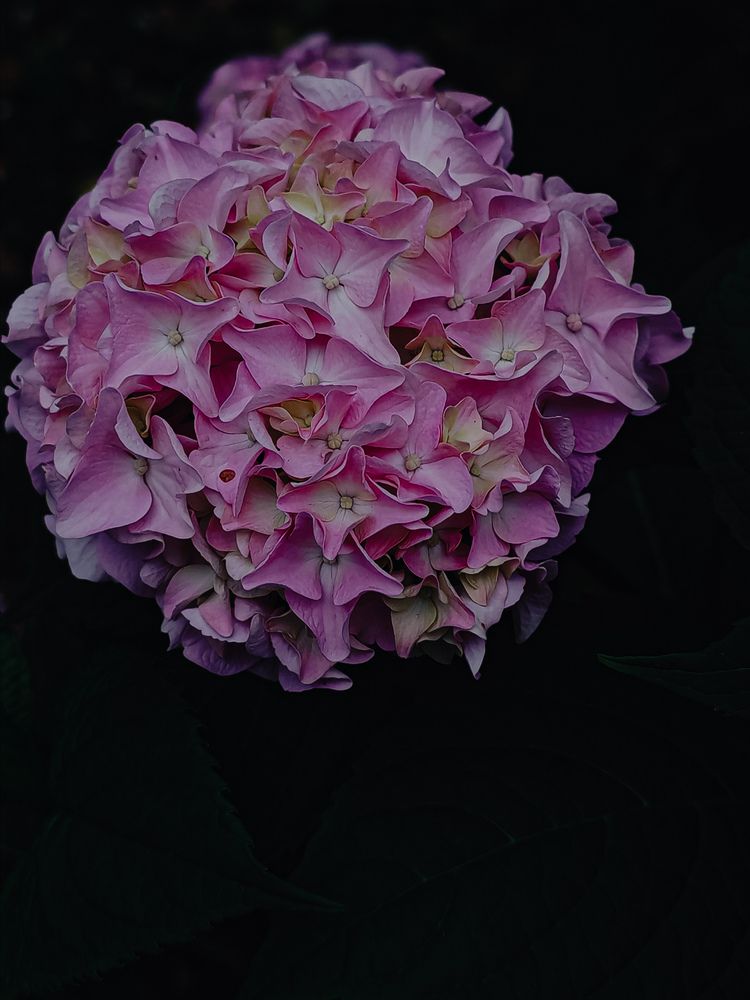 Photograph by Maria Stankevich