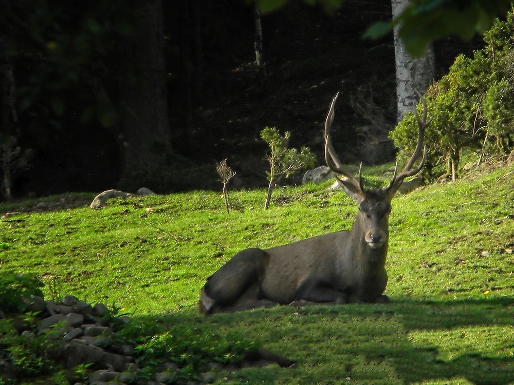 Фотография автора Роман Савоцкий