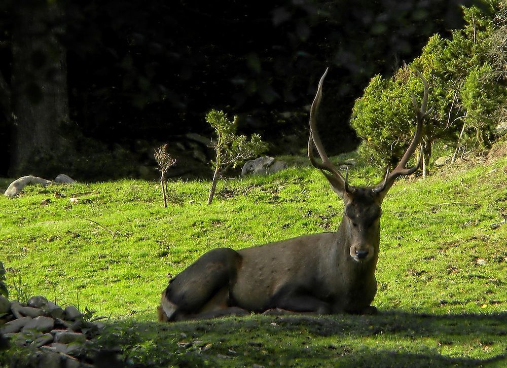 Photograph by Савоцкий Роман