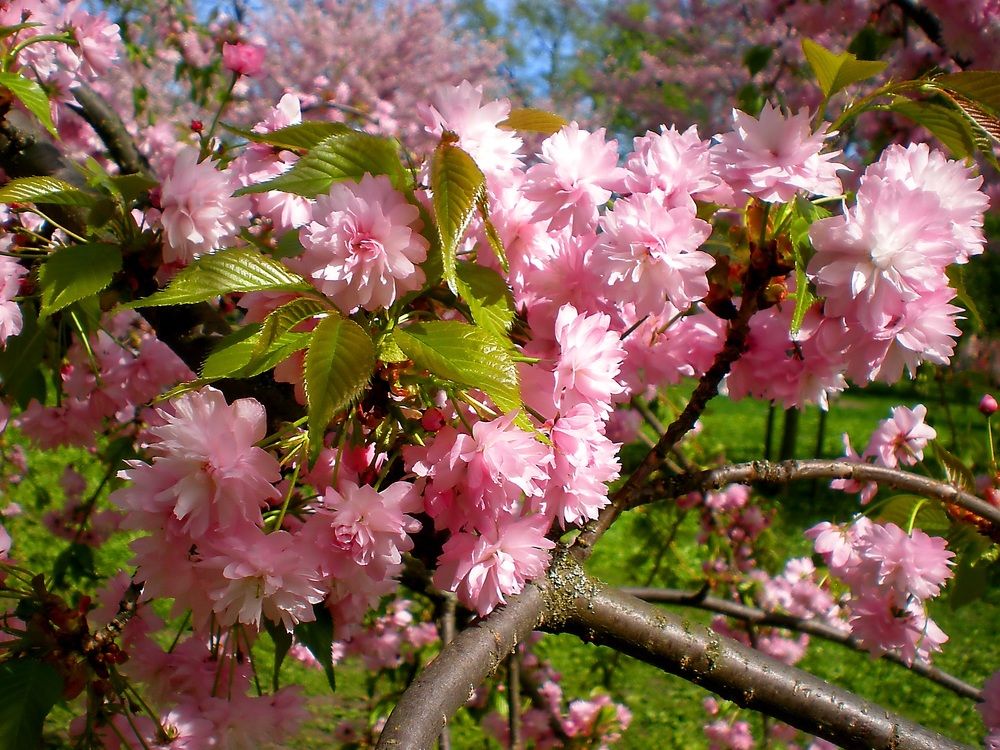 Photograph by Савоцкий Роман