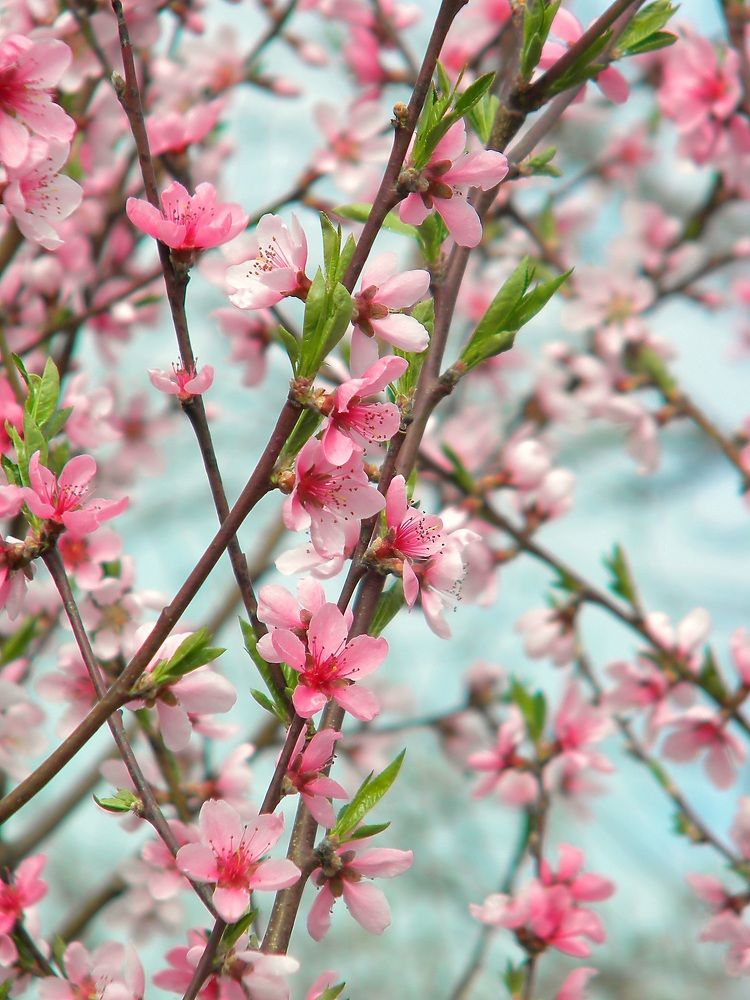 Photograph by Савоцкий Роман