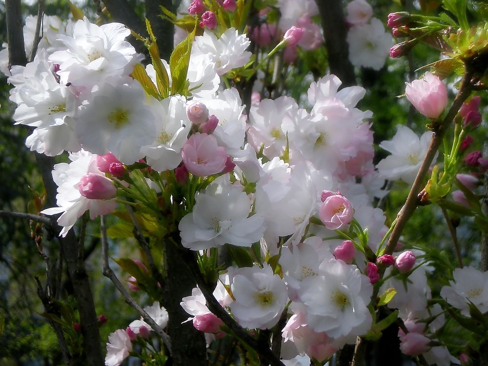 Photograph by Савоцкий Роман