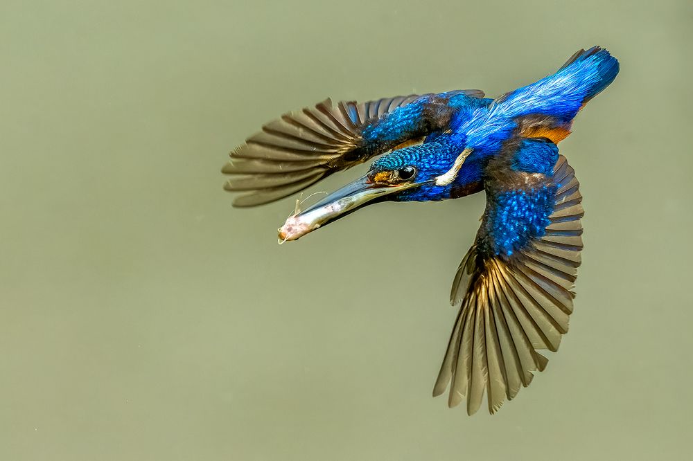 Photograph by Sandeep Dutta