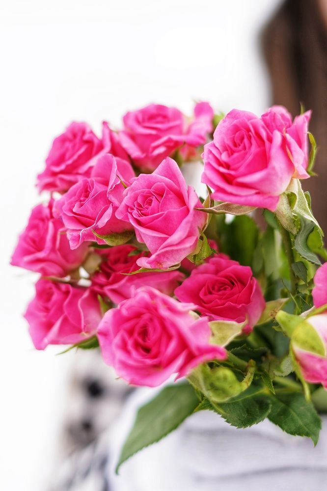 Photograph by Анастасия Позинич