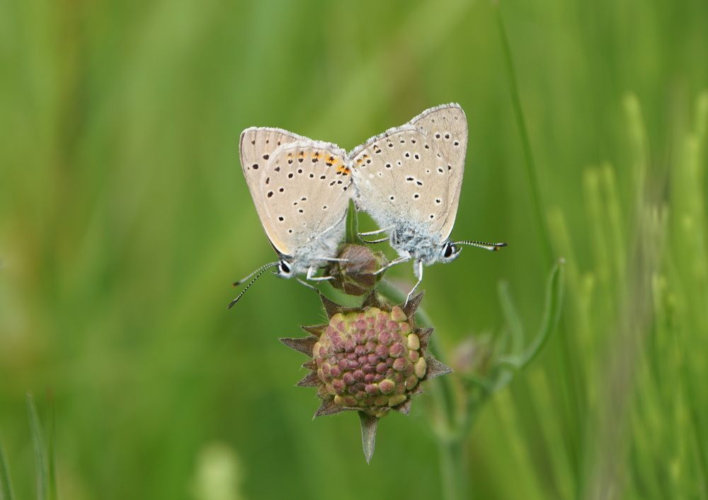 Photograph by сергей мишаков