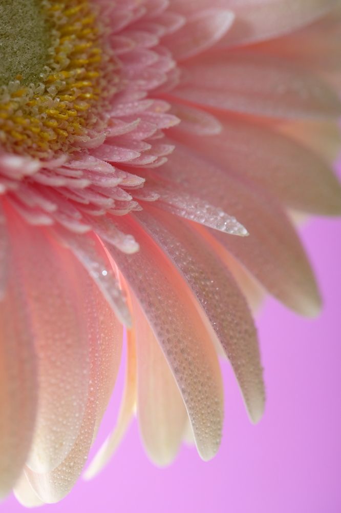 Фотография автора Лидия Филатова