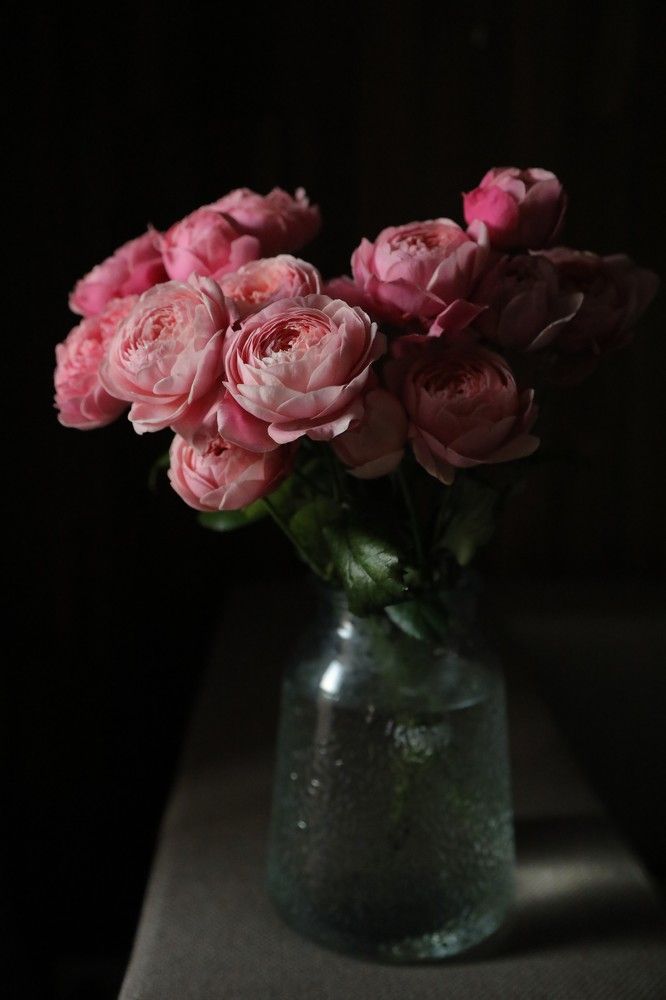 Photograph by Татьяна Гороховская