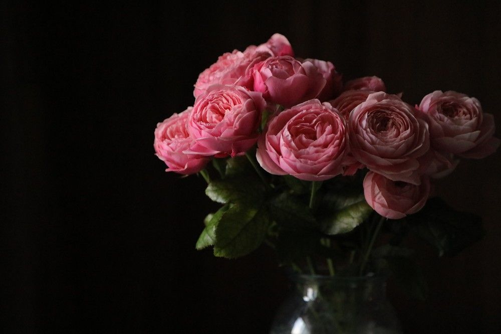 Photograph by Татьяна Гороховская