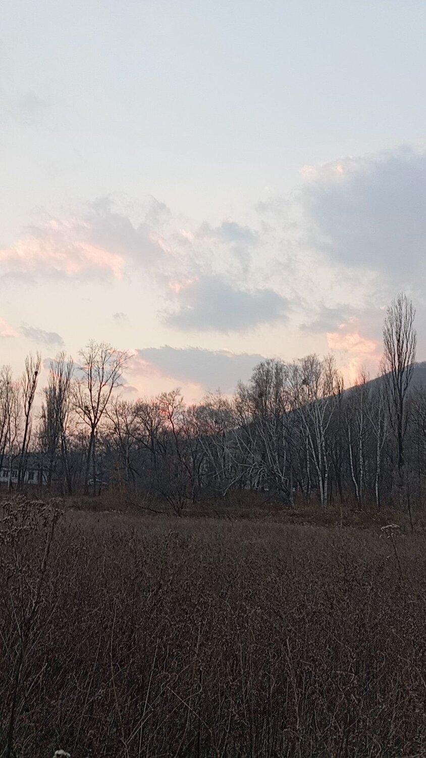 Photo #11425823