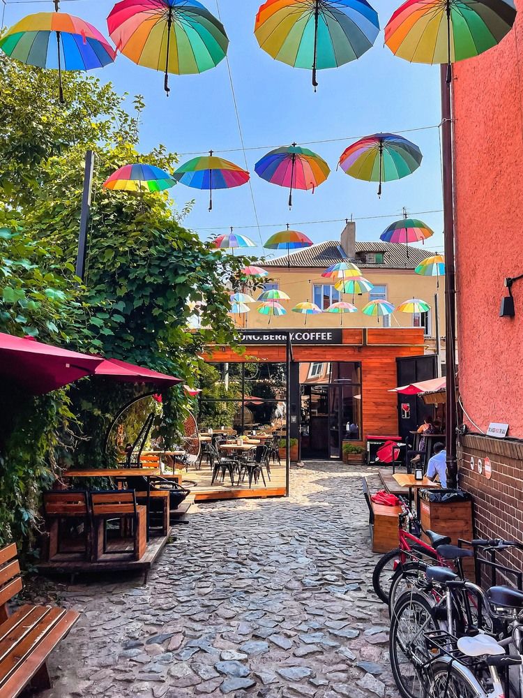 Фотография автора Елена Меньшикова