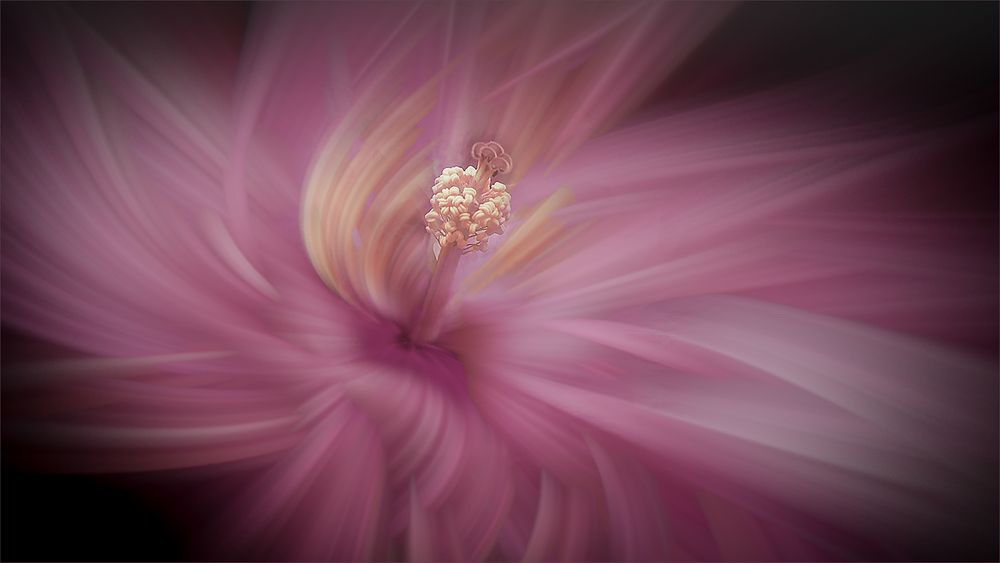 Photograph by Carol Phillips